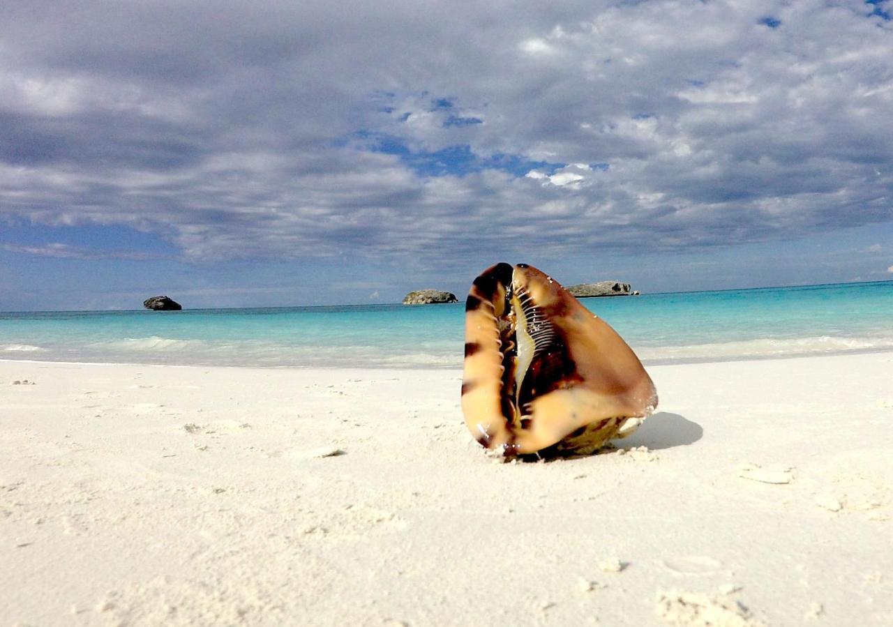 Turtles Nest Bahamas Daire George Town Dış mekan fotoğraf