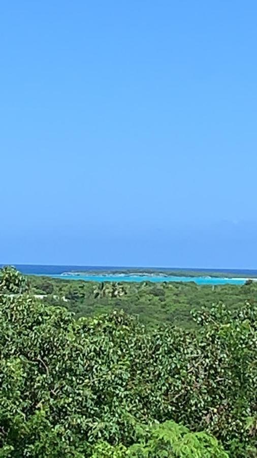 Turtles Nest Bahamas Daire George Town Dış mekan fotoğraf